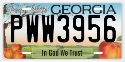 GA license plate PWW3956