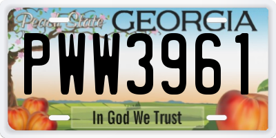 GA license plate PWW3961