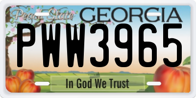 GA license plate PWW3965