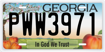 GA license plate PWW3971