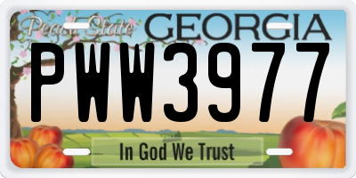 GA license plate PWW3977