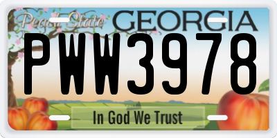 GA license plate PWW3978
