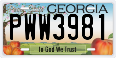 GA license plate PWW3981