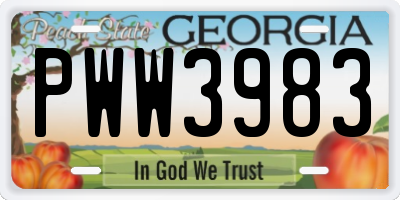 GA license plate PWW3983