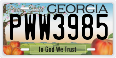 GA license plate PWW3985
