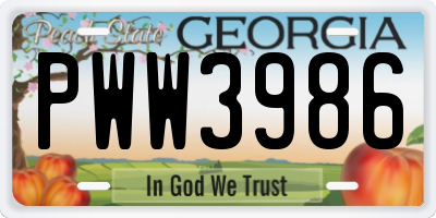 GA license plate PWW3986