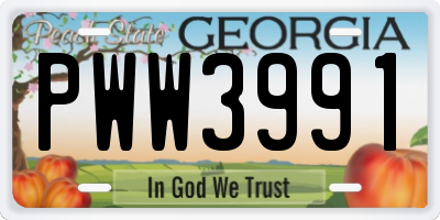 GA license plate PWW3991