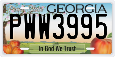GA license plate PWW3995