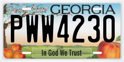 GA license plate PWW4230