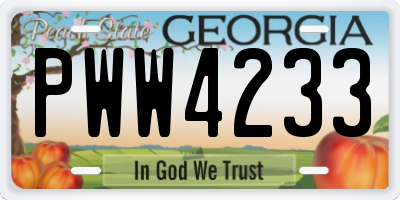 GA license plate PWW4233
