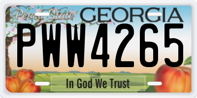 GA license plate PWW4265
