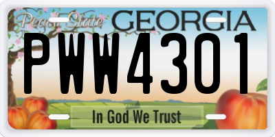 GA license plate PWW4301