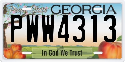 GA license plate PWW4313