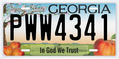 GA license plate PWW4341