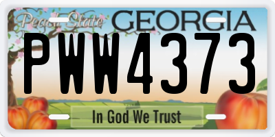 GA license plate PWW4373