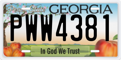 GA license plate PWW4381