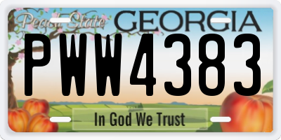 GA license plate PWW4383