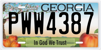 GA license plate PWW4387