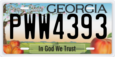 GA license plate PWW4393