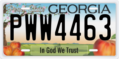 GA license plate PWW4463
