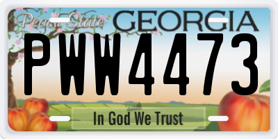 GA license plate PWW4473