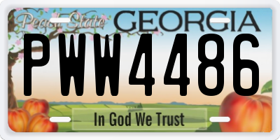 GA license plate PWW4486