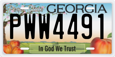 GA license plate PWW4491