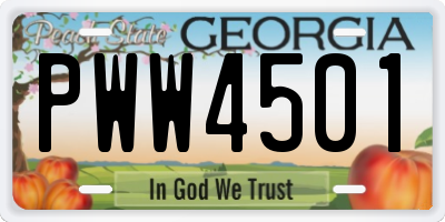 GA license plate PWW4501
