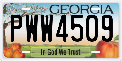 GA license plate PWW4509