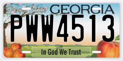 GA license plate PWW4513