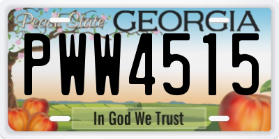 GA license plate PWW4515