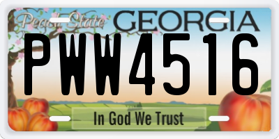 GA license plate PWW4516
