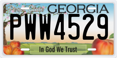 GA license plate PWW4529
