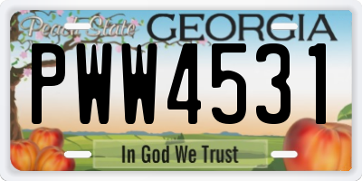 GA license plate PWW4531