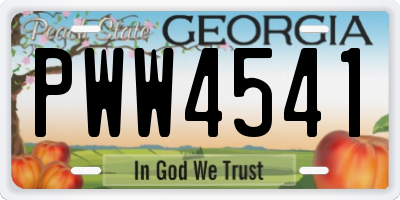 GA license plate PWW4541