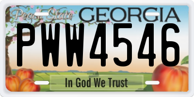 GA license plate PWW4546