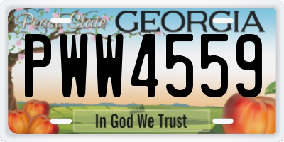 GA license plate PWW4559