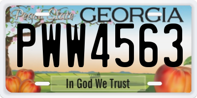 GA license plate PWW4563