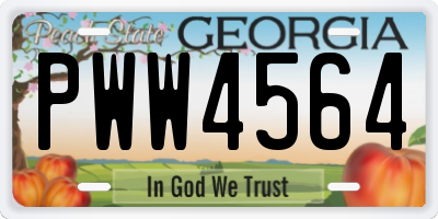 GA license plate PWW4564