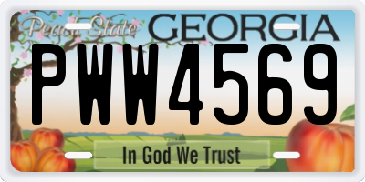GA license plate PWW4569