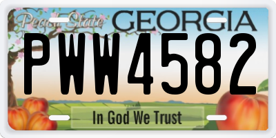 GA license plate PWW4582