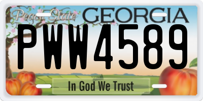 GA license plate PWW4589