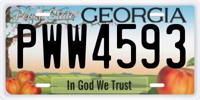 GA license plate PWW4593