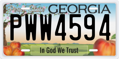 GA license plate PWW4594