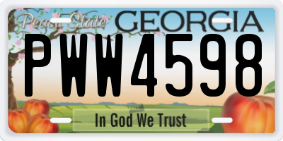 GA license plate PWW4598