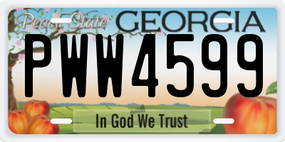 GA license plate PWW4599