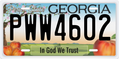 GA license plate PWW4602
