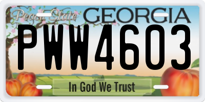 GA license plate PWW4603