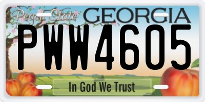 GA license plate PWW4605