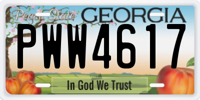GA license plate PWW4617